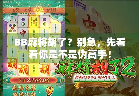 BB麻将胡了？别急，先看看你是不是伪高手！