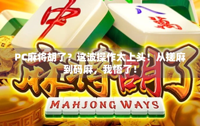 PC麻将胡了？这波操作太上头！从搓麻到码麻，我悟了！