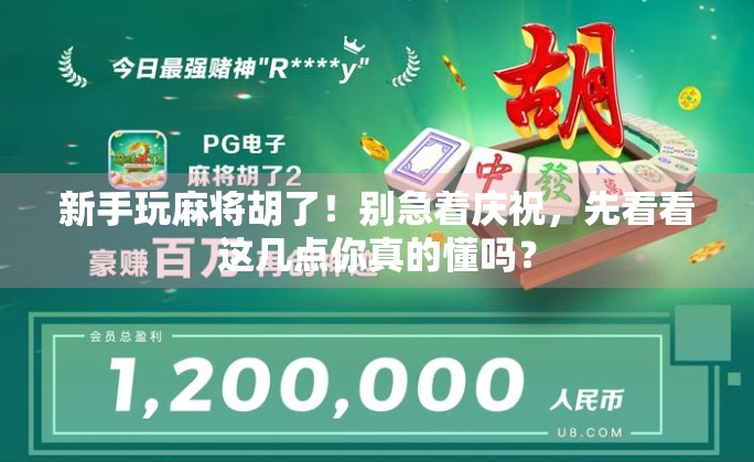 新手玩麻将胡了！别急着庆祝，先看看这几点你真的懂吗？